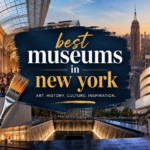best museums in new york​