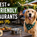 dog friendly restaurants near me​